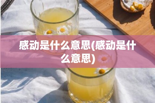 感动是什么意思(感动是什么意思)