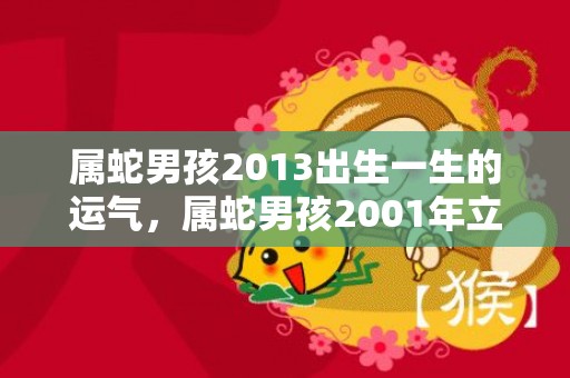 属蛇男孩2013出生一生的运气，属蛇男孩2001年立冬出生的好不好
