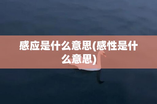 感应是什么意思(感性是什么意思)