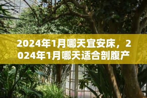2024年1月哪天宜安床，2024年1月哪天适合剖腹产
