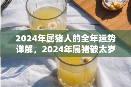 2024年属猪人的全年运势详解，2024年属猪破太岁是什么意思