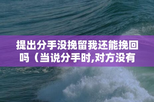提出分手没挽留我还能挽回吗（当说分手时,对方没有挽留是什么心理）