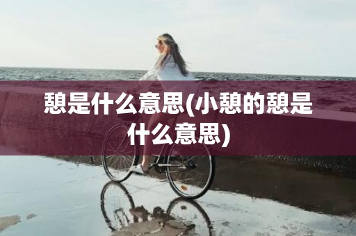 憩是什么意思(小憩的憩是什么意思)