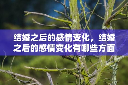 结婚之后的感情变化，结婚之后的感情变化有哪些方面呢