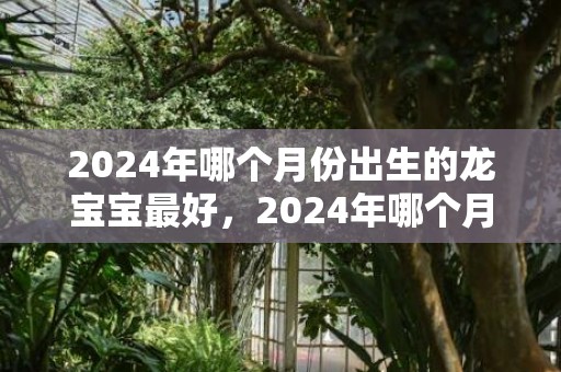 2024年哪个月份出生的龙宝宝最好，2024年哪个月份出生的兔宝宝最好