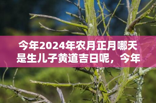 今年2024年农月正月哪天是生儿子黄道吉日呢，今年2024年农历十月十八小雪节气日子好吗