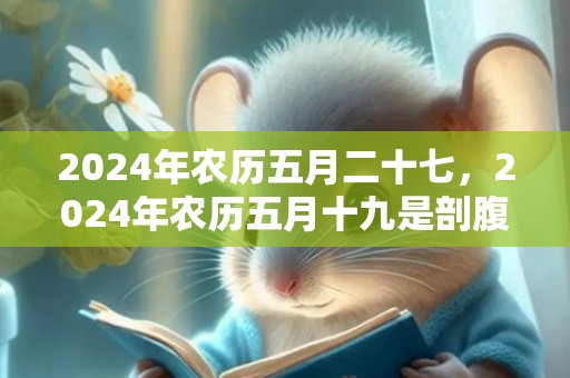 2024年农历五月二十七，2024年农历五月十九是剖腹产黄道吉日吗