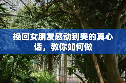 挽回女朋友感动到哭的真心话，教你如何做