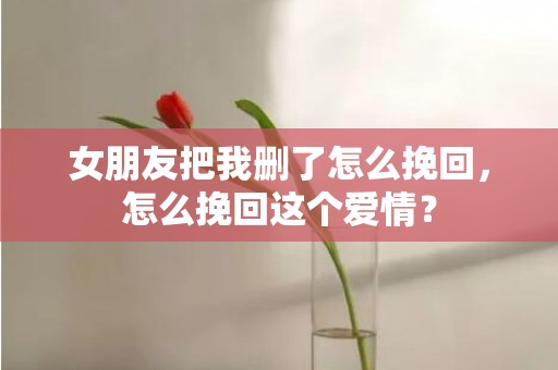 女朋友把我删了怎么挽回，怎么挽回这个爱情？