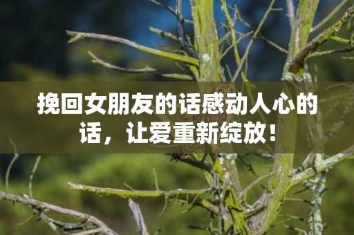 挽回女朋友的话感动人心的话，让爱重新绽放！