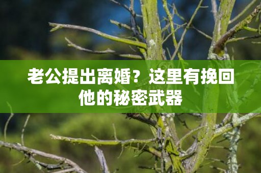 老公提出离婚？这里有挽回他的秘密武器