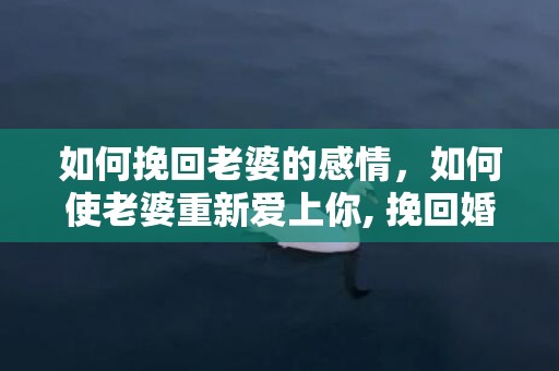 如何挽回老婆的感情，如何使老婆重新爱上你, 挽回婚姻的感情？