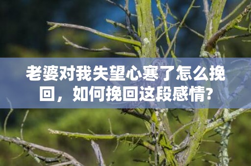 老婆对我失望心寒了怎么挽回，如何挽回这段感情?