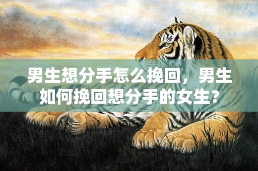 男生想分手怎么挽回，男生如何挽回想分手的女生？