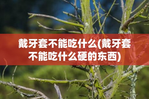 戴牙套不能吃什么(戴牙套不能吃什么硬的东西)