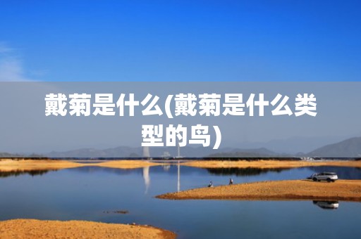 戴菊是什么(戴菊是什么类型的鸟)