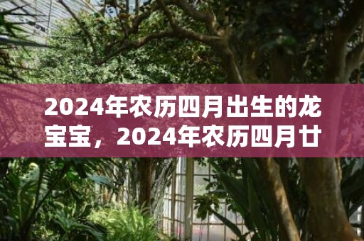 2024年农历四月出生的龙宝宝，2024年农历四月廿四出生的男宝宝命运如何