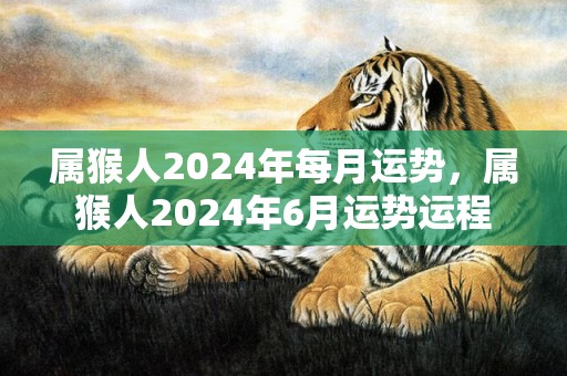 属猴人2024年每月运势，属猴人2024年6月运势运程