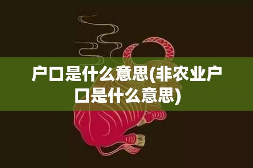 户口是什么意思(非农业户口是什么意思)