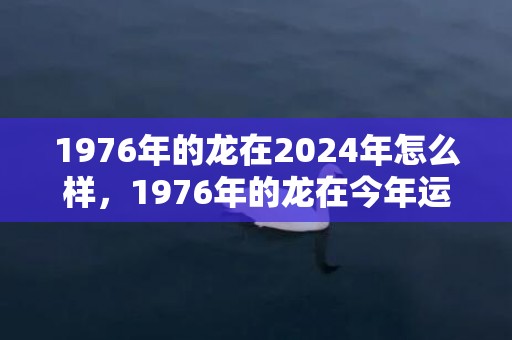 1976年的龙在2024年怎么样，1976年的龙在今年运气怎么样