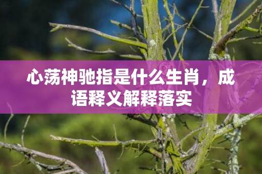 心荡神驰指是什么生肖，成语释义解释落实插图