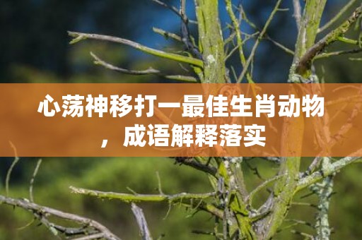 心荡神移打一最佳生肖动物，成语解释落实插图