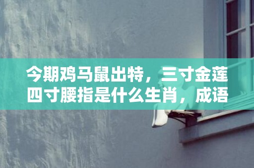 今期鸡马鼠出特，三寸金莲四寸腰指是什么生肖，成语释义解释落实插图