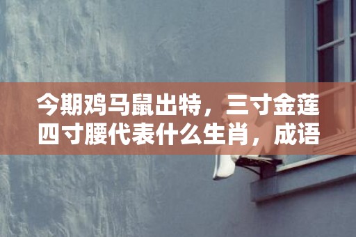 今期鸡马鼠出特，三寸金莲四寸腰代表什么生肖，成语解释落实