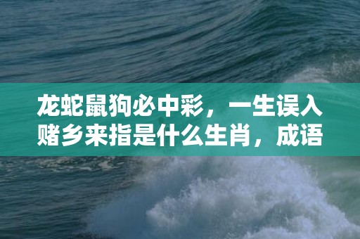 龙蛇鼠狗必中彩，一生误入赌乡来指是什么生肖，成语释义解释落实插图