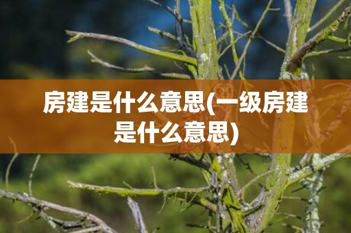 房建是什么意思(一级房建是什么意思)