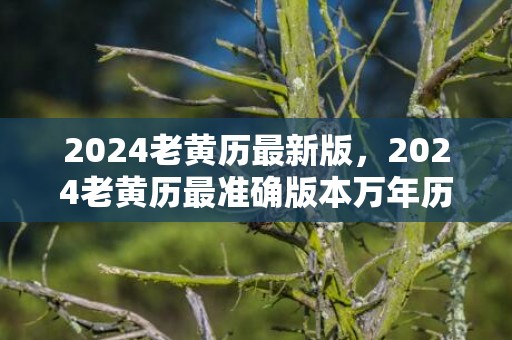 2024老黄历最新版，2024老黄历最准确版本万年历