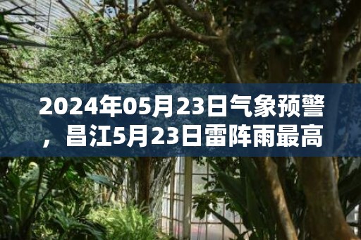2024年05月23日气象预警，昌江5月23日雷阵雨最高气温31℃
