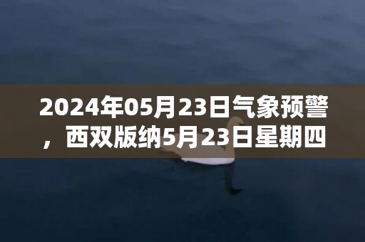 2024年05月23日气象预警，西双版纳5月23日星期四小雨最高温度32℃