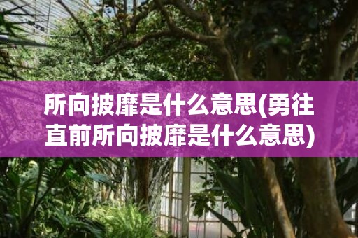 所向披靡是什么意思(勇往直前所向披靡是什么意思)