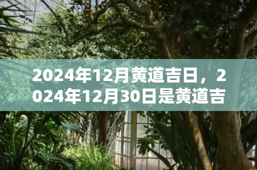 2024年12月黄道吉日，2024年12月30日是黄道吉日吗