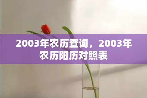 2003年农历查询，2003年农历阳历对照表