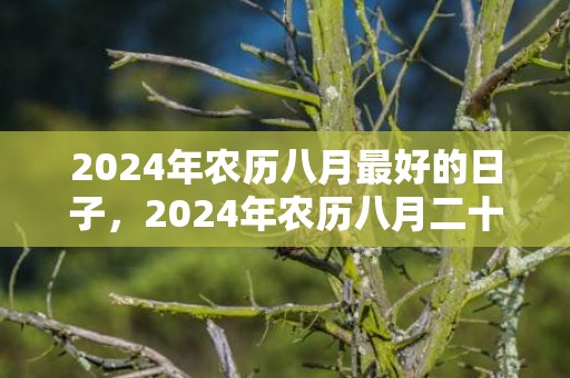2024年农历八月最好的日子，2024年农历八月二十二适合乔迁新居吗