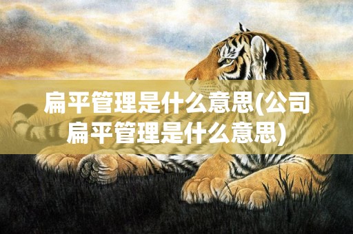 扁平管理是什么意思(公司扁平管理是什么意思)
