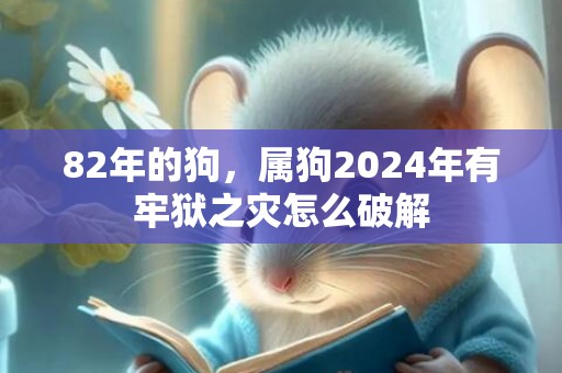82年的狗，属狗2024年有牢狱之灾怎么破解