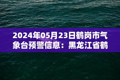 2024年05月23日鹤岗市气象台预警信息：黑龙江省鹤岗市发布大风蓝色预警