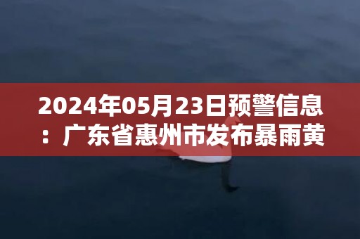 2024年05月23日预警信息：广东省惠州市发布暴雨黄色预警