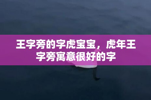王字旁的字虎宝宝，虎年王字旁寓意很好的字