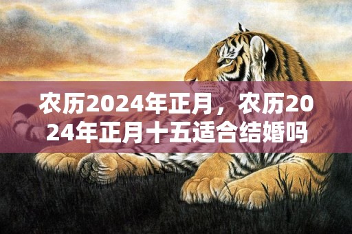 农历2024年正月，农历2024年正月十五适合结婚吗