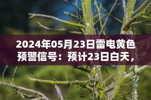 2024年05月23日雷电黄色预警信号：预计23日白天，辽阳市区将出现雷电天气，同时可能伴有短时大风、冰雹、短时强降水等强对流天气，可能会造成雷电灾害事故，请减少户外活动。辽阳市气象台预警信息：辽宁省辽阳市发布雷电黄色预警