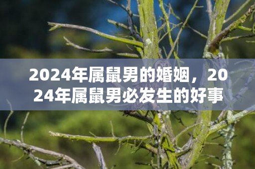 2024年属鼠男的婚姻，2024年属鼠男必发生的好事