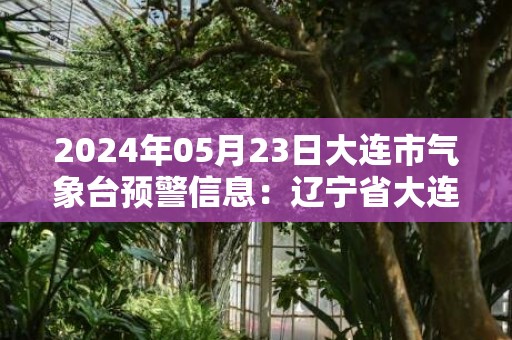 2024年05月23日大连市气象台预警信息：辽宁省大连市发布海上大风蓝色预警