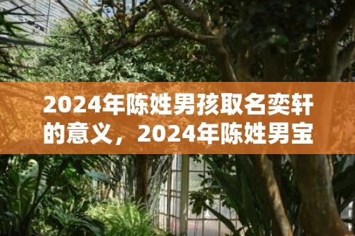 2024年陈姓男孩取名奕轩的意义，2024年陈姓男宝宝起名