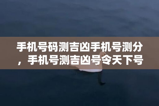 手机号码测吉凶手机号测分，手机号测吉凶号令天下号令天下