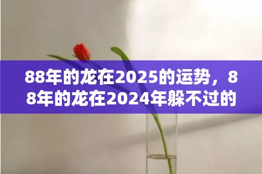88年的龙在2025的运势，88年的龙在2024年躲不过的灾