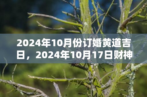 2024年10月份订婚黄道吉日，2024年10月17日财神方位查询